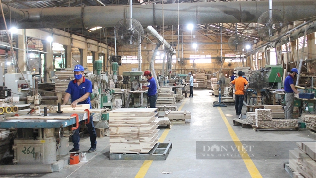 Một nhà máy chế biến gỗ ở TP.Thuận An. Ảnh: Nguyên Vỹ
