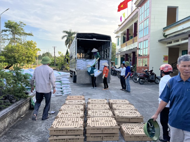 Nuôi vịt an toàn sinh học, thu lợi kép - Ảnh 5.