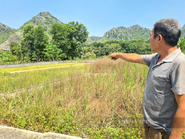 Phân lô đất nghĩa trang bán trái quy định tại Thanh Hóa - Ảnh 3.