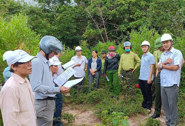 Ninh Thuận: Cưỡng chế cá nhân lấn chiếm đất rừng tại vườn Quốc gia Núi Chúa - Ảnh 1.