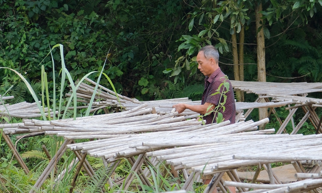 Hóa giải thách thức chứng minh nguồn gốc gỗ (Bài 1): Đơn hàng dăm gỗ, ván ghép giảm tốc - Ảnh 1.