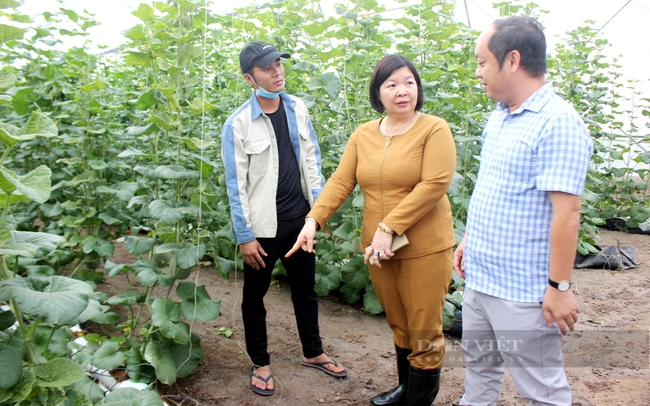 Bà Cao Xuân Thu Vân – Phó Chủ tịch Hội Nông dân Việt Nam tham quan mô hình trồng dưa lưới ở Khu Nông nghiệp Công nghệ cao An Thái. Ảnh: Nguyên Vỹ
