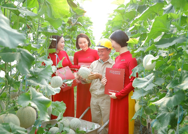 Agribank chung tay thúc đẩy tín dụng xanh, ngân hàng xanh hướng tới phát triển bền vững tại Việt Nam - Ảnh 2.