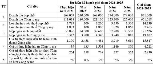 ĐHĐCĐ bất thường Petrolimex (PLX): Điều chỉnh kế hoạch lợi nhuận giảm gấp 10 lần so với ban đầu - Ảnh 2.