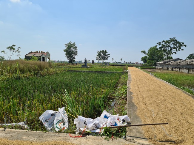 Vụ phân lô bán đất nghĩa trang trái quy định tại Thanh Hóa: UBND huyện Nga Sơn khẳng định trách nhiệm thuộc về xã - Ảnh 2.