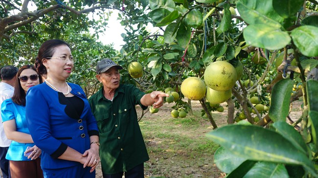 Liên kết làm giàu từ nguồn vốn quỹ - Ảnh 1.