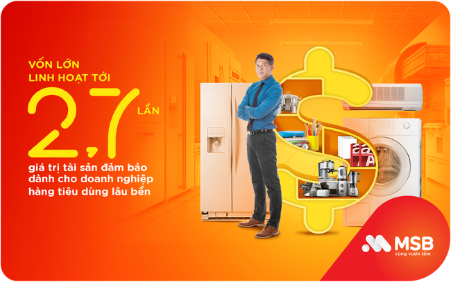 MSB tài trợ đến 270% giá trị tài sản đảm bảo cho Doanh nghiệp ngành hàng tiêu dùng lâu bền - Ảnh 1.