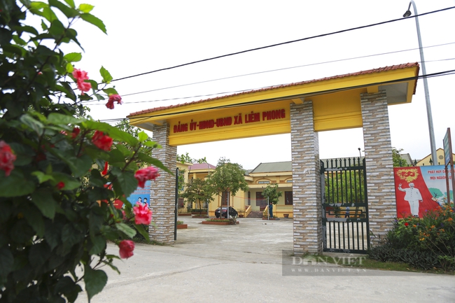 Hà Nam đấu giá 196 lô đất tại huyện Thanh Liêm, khởi điểm cao nhất gần 9,5 triệu đồng/m2 - Ảnh 1.