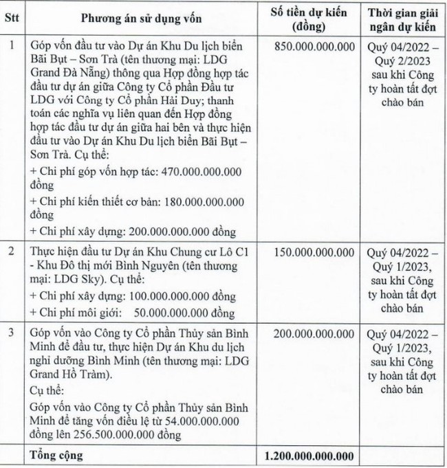 LDG chốt quyền trả cổ tức 2019 sau nhiều lần trì hoãn, cổ phiếu giảm 84% sau hơn 10 tháng - Ảnh 1.