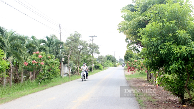Đường nông thôn mới ở xã Bạch Đằng. Ảnh: Nguyên Vỹ