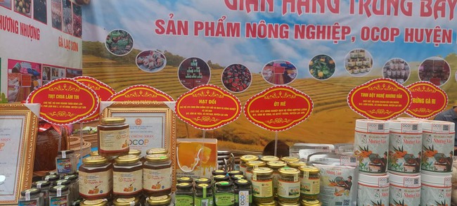 Gắn sao cho nông sản đất Mường, cam và cá bán đắt như tôm tươi  - Ảnh 3.