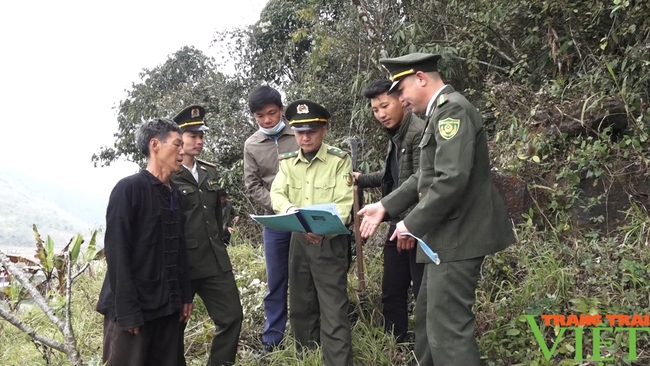 Sìn Hồ chú trọng công tác quản lý, bảo vệ rừng - Ảnh 3.