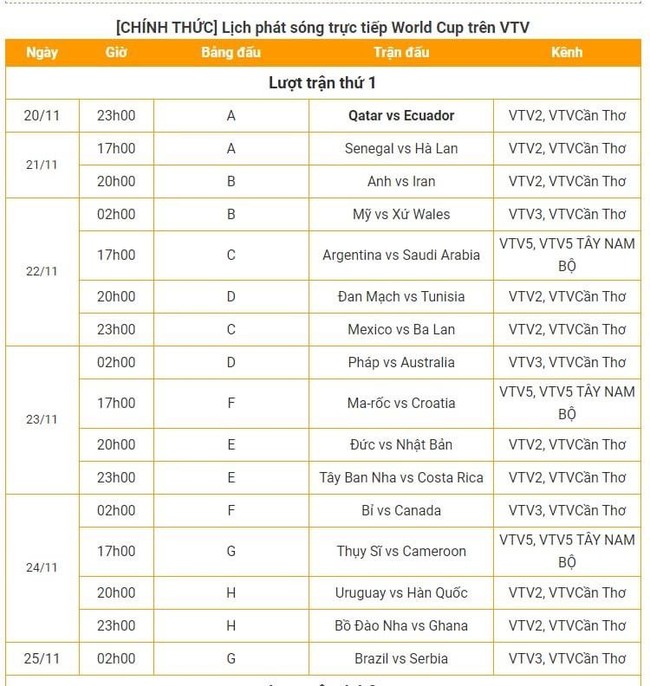 Lịch phát sóng trực tiếp các trận vòng bảng World Cup 2022 trên VTV - Ảnh 3.