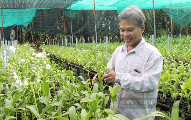 Ông Nguyễn Văn Thảo mong Thành phố sớm ban hành chính sách chuyển dịch cơ cấu nông nghiệp đô thị trong giai đoạn mới. Ảnh: Trần Khánh