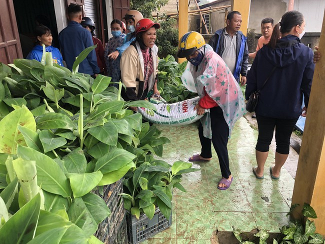 Hỗ trợ chế phẩm sinh học trồng chuối già lùn ở Thừa Thiên-Huế:  Chuối lùn kỳ vọng cho thu cao  - Ảnh 3.