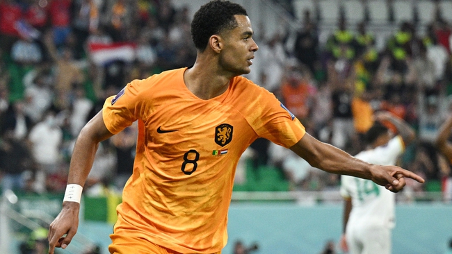 Hà Lan may mắn cầm hòa 1 - 1 với đội cửa dưới Ecuado - Ảnh 1.