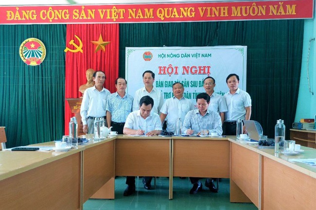 Hội Nông dân Việt Nam bàn giao tài sản sau đầu tư Trung tâm Hỗ trợ nông dân tỉnh TT-Huế - Ảnh 1.