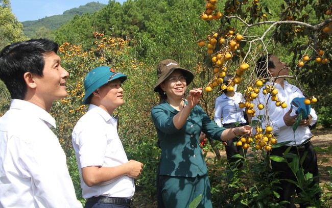 Phó Chủ tịch T.Ư Hội NDVN Bùi Thị Thơm ấn tượng với các mô hình kinh tế của nông dân Nghệ An - Ảnh 7.
