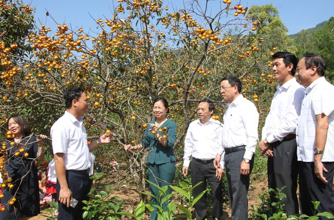 Phó Chủ tịch T.Ư Hội NDVN Bùi Thị Thơm ấn tượng với các mô hình kinh tế của nông dân Nghệ An - Ảnh 6.