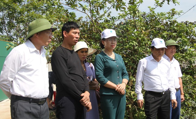 Phó Chủ tịch T.Ư Hội NDVN Bùi Thị Thơm ấn tượng với các mô hình kinh tế của nông dân Nghệ An - Ảnh 8.