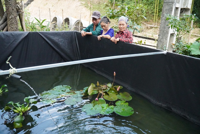 Vùng nghèo đầu tư dinh dưỡng cho nông hộ (kỳ 2): Liên kết nuôi cá lót bạt - mũi tên nhắm 2 đích - Ảnh 1.