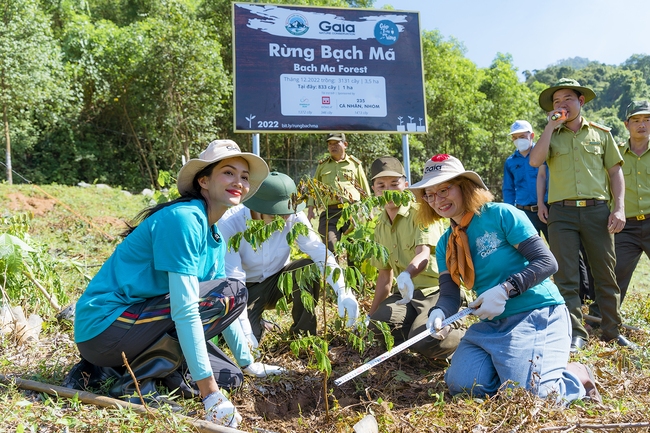 Hoa hậu H’hen Niê tham gia trồng 3,5 ha rừng tại Thừa Thiên Huế  - Ảnh 1.