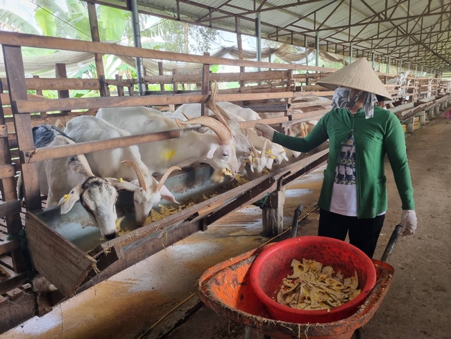 Hậu Giang xây dựng nền nông nghiệp có giá trị gia tăng cao gắn với NTM - Ảnh 2.