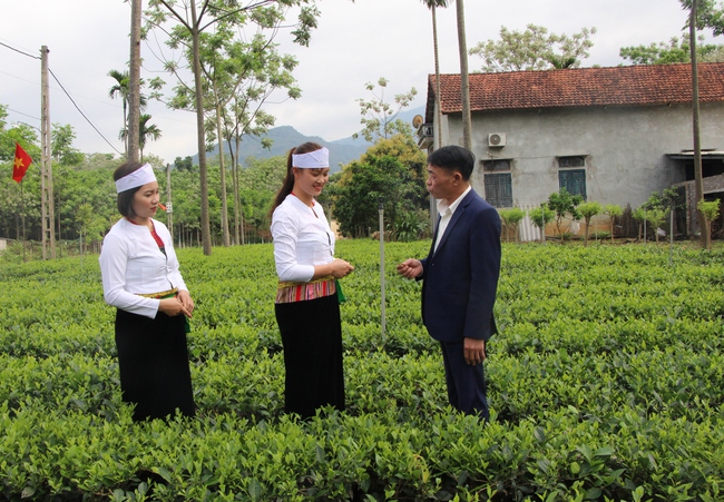 Hội Nông dân TP Hà Nội hướng về cơ sở, tham gia hòa giải hơn 5.000 vụ việc - Ảnh 3.