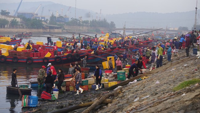 Trúng đậm ruốc tép chỉ đi một đêm mỗi thuyền nhỏ của ngư dân Nghệ An thu về hàng chục triệu đồng - Ảnh 2.