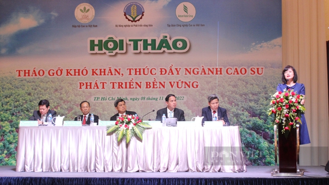 Hội thảo tháo gỡ khó khăn, thúc đẩy ngành cao su phát triển bền vững tổ chức tại TP.HCM, ngày 8/11. Ảnh: Nguyên Vỹ