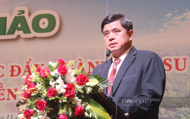 Thứ trưởng Bộ NNPTNT Trần Thanh Nam đề nghị ngành cao su sớm khắc phục tình trạng mất cân đối để phát triển bền vững. Ảnh: Nguyên Vỹ