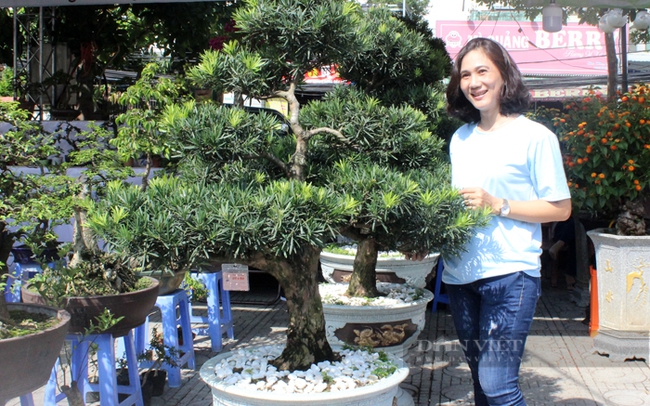 Hội viên Hội Nông dân TP.Thủ Đức phát triển mô hình bonsai, cây cảnh theo chuyển dịch cơ cấu nông nghiệp đô thị. Ảnh: Trần Khánh