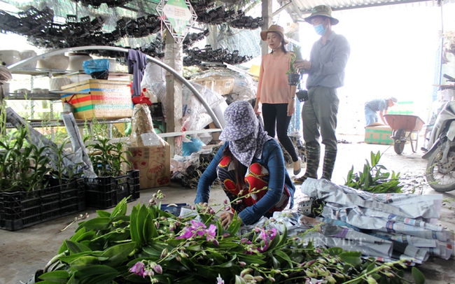 Vợ chồng anh Lưu Cẩm Hùng (đứng) thường xuyên chia sẻ kinh nghiệm cho các thành viên HTX hoa lan Đa Phước. Ảnh: Trần Khánh