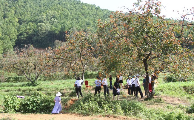 Huyện Nam Đàn phấn đấu là địa phương đầu tiên tại tỉnh Nghệ An đạt chuẩn nông thôn mới kiểu mẫu - Ảnh 3.