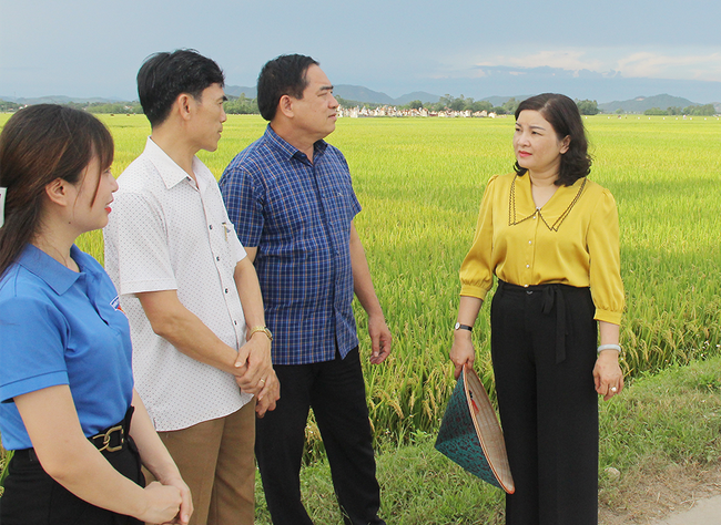 Huyện Nam Đàn phấn đấu là địa phương đầu tiên tại tỉnh Nghệ An đạt chuẩn nông thôn mới kiểu mẫu - Ảnh 4.