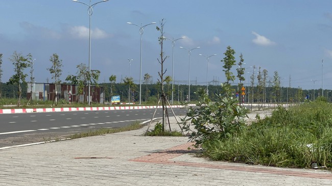 Sân bay Long Thành: Gần 3.000 cư dân đã dọn về khu tái định cư Lộc An - Bình Sơn - Ảnh 2.