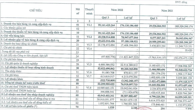 Khu công nghiệp Tín Nghĩa (TIP) sắp tạm ứng cổ tức 2022 bằng tiền mặt, tỷ lệ 10% - Ảnh 1.