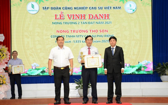 Nông trường Thọ Sơn thuộc Công ty Cao su Phú Riềng được vinh danh thành viên Câu lạc bộ 2 tấn. Ảnh: T.L