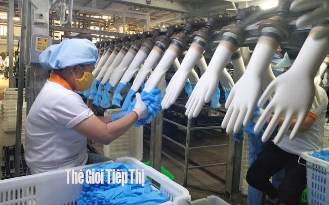 Sản xuất găng tay cao su ở Công ty CP VRG Khải Hoàng, huyện Bàu Bàng. Bình Dương. Ảnh: Trần Khánh