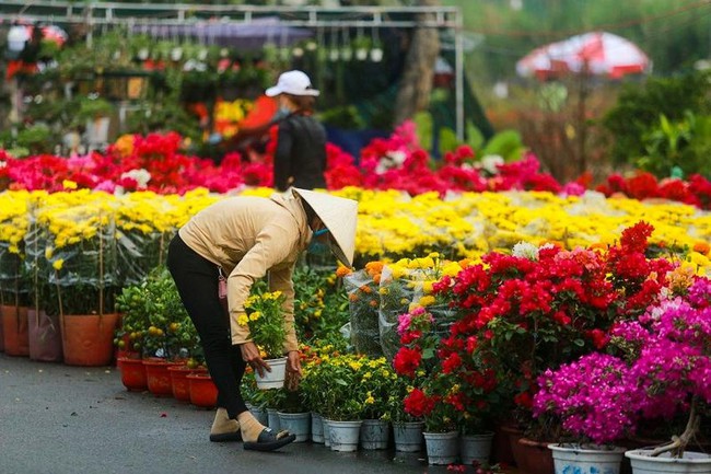 Chợ hoa xuân Bình Điền 2023 miễn phí tiền thuê mặt bằng - Ảnh 1.