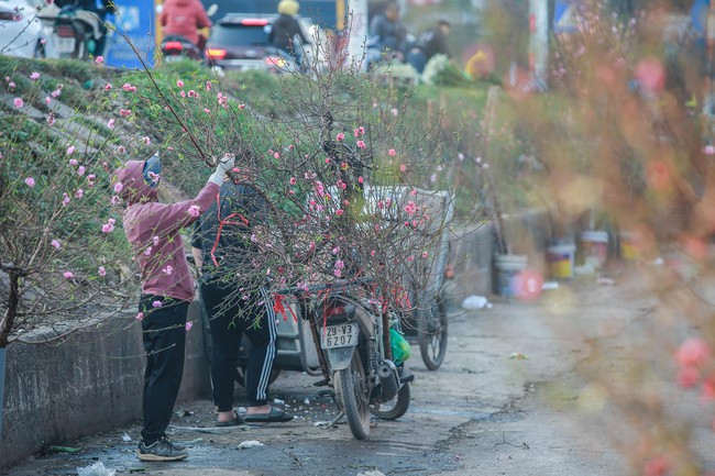 Đào Nhật Tân xuống phố phục vụ Tết Dương lịch 2023 - Ảnh 1.