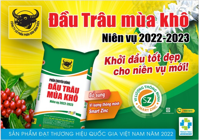 Giá vật tư tăng cao, người trồng cà phê có lời không? - Ảnh 5.