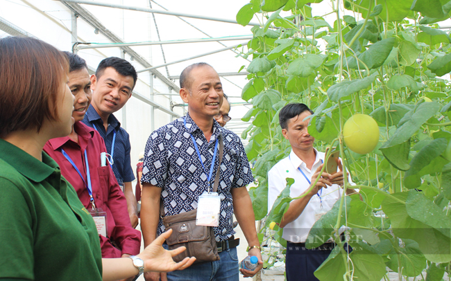 Ông Tống Văn Hướng (giữa) tham quan mô hình sản xuất nông nghiệp công nghệ cao ở tỉnh Vĩnh Phúc. Ảnh: Nguyên Vỹ