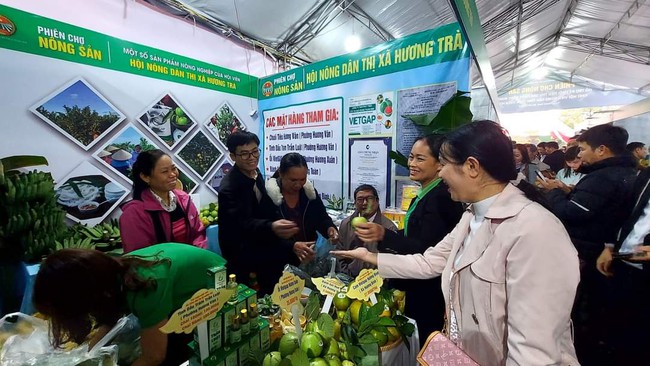 TT-Huế: Hội viên nông dân mong được hỗ trợ đầu ra cho nông sản VietGAP, hữu cơ  - Ảnh 2.