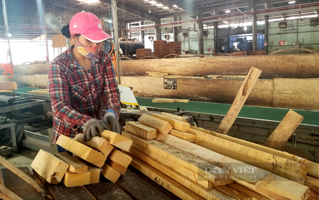 Đứt gãy chuỗi cung ứng ở các thị trường xuất khẩu lớn đã ảnh hưởng đến nhiều nhóm ngành nghề của Bình Dương như ngành gỗ, ngành da giày và ngành dệt may. Một doanh nghiệp chế biến gỗ ở huyện Dầu Tiếng. Ảnh: Trần Khánh