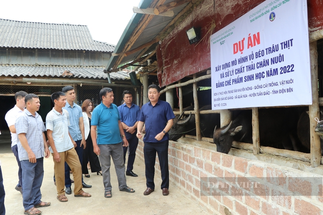  “Làn gió mới” thúc đẩy  tái cơ cấu nông   nghiệp  - Ảnh 3.