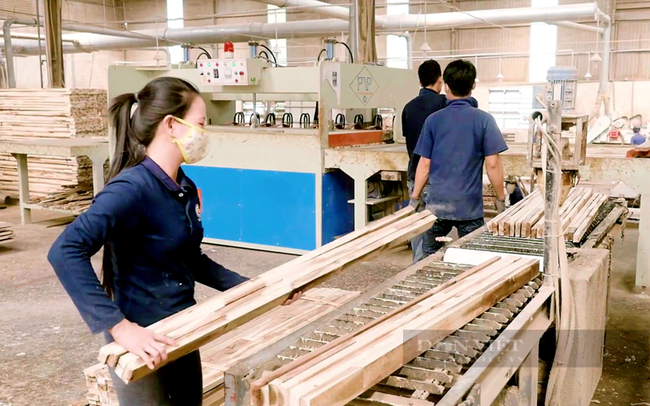Công nhân làm việc bên trong nhà máy chế biến gỗ nội thất ở TP.Biên Hòa (Đồng Nai). Ảnh: Trần Khánh