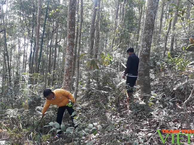 Chi trả dịch vụ môi trường rừng ở Lai Châu: Tiếp sức chương trình xây dựng nông thôn mới - Ảnh 3.