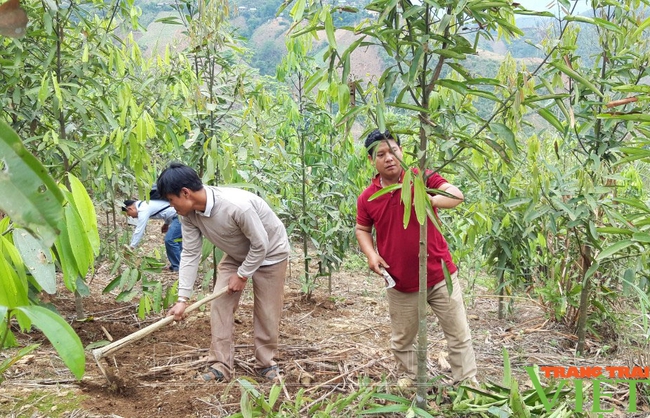 Chi trả dịch vụ môi trường rừng ở Lai Châu: Tiếp sức chương trình xây dựng nông thôn mới - Ảnh 2.