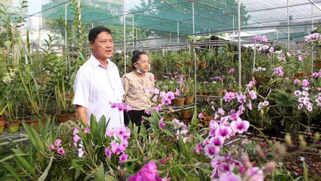 Vườn lan Tuấn Văn Garden thường xuyên hỗ trợ vật tư nông nông nghiệp và hướng dẫn kỹ thuật chăm sóc hoa lan miễn phí cho các  hội viên nông dân trên địa bàn. Ảnh: Nguyên Vỹ